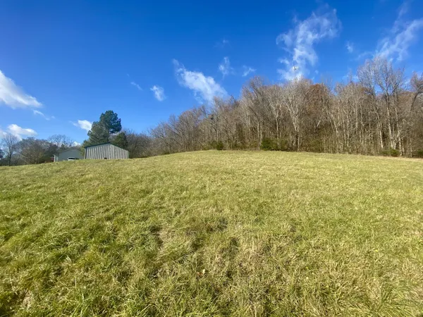a view of a big yard with palm trees