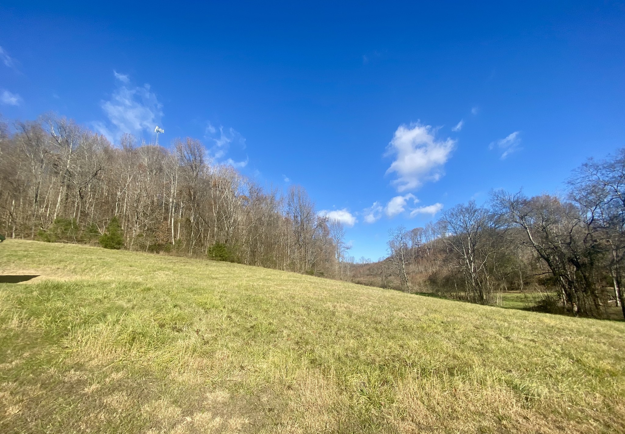 4570 Highway 64 Pulaski, TN 38478 - Photo 23 of 31 a view of a yard with a house