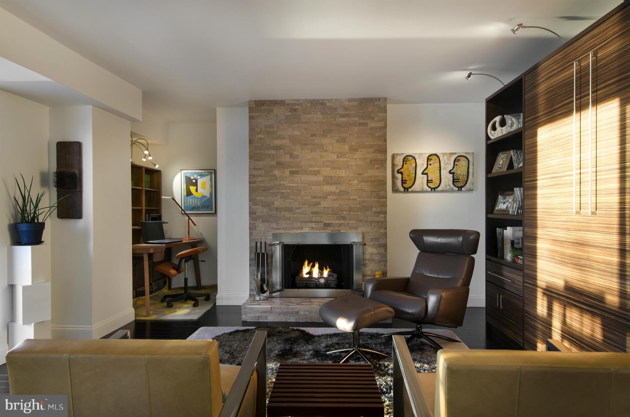 550 N Street Southwest, Unit S201 Washington, DC 20024 - Photo 13 of 30 a living room with furniture and a fireplace