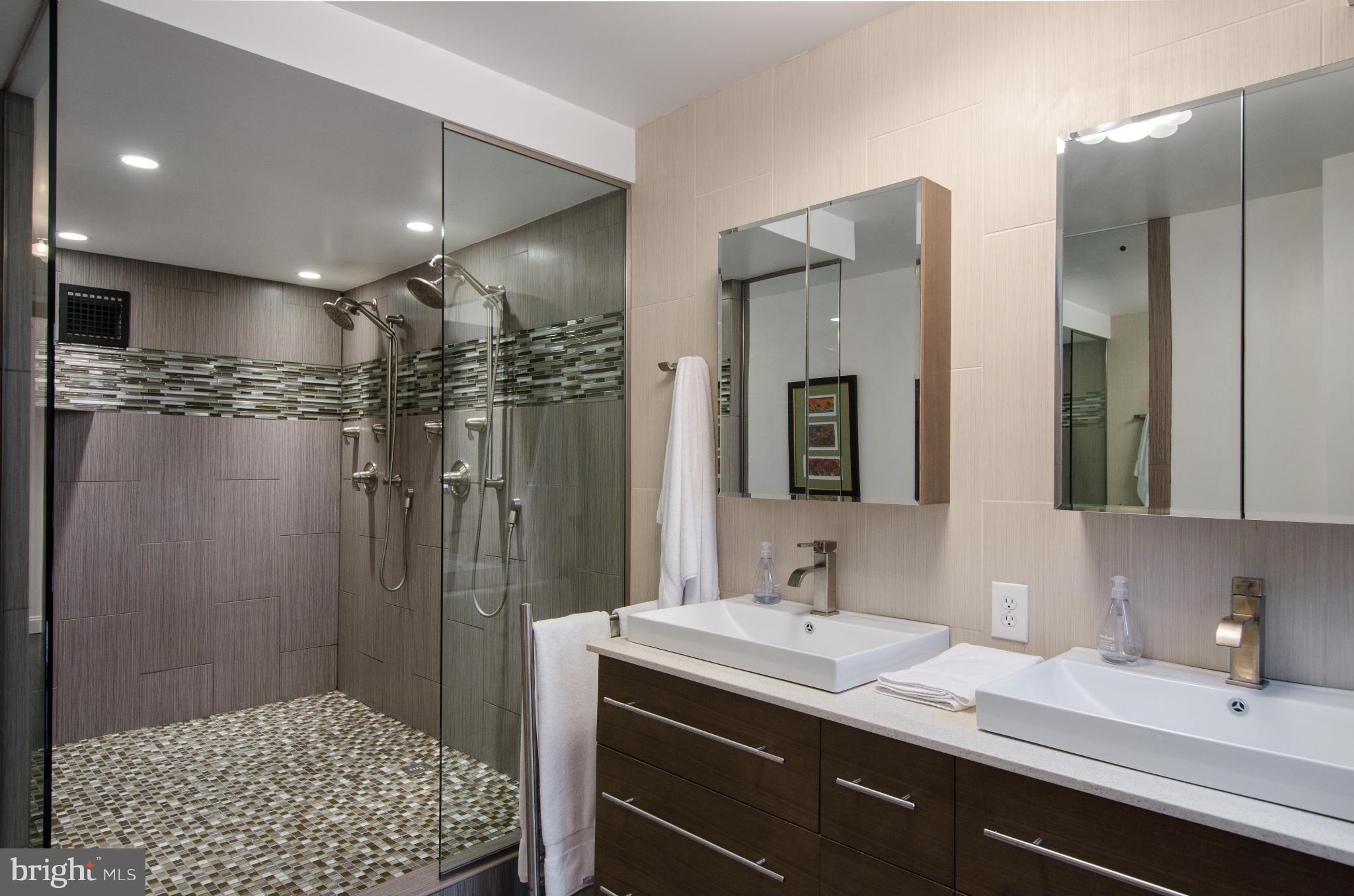 550 N Street Southwest, Unit S201 Washington, DC 20024 - Photo 18 of 30 a bathroom with a sink a shower a mirror and a bathtub