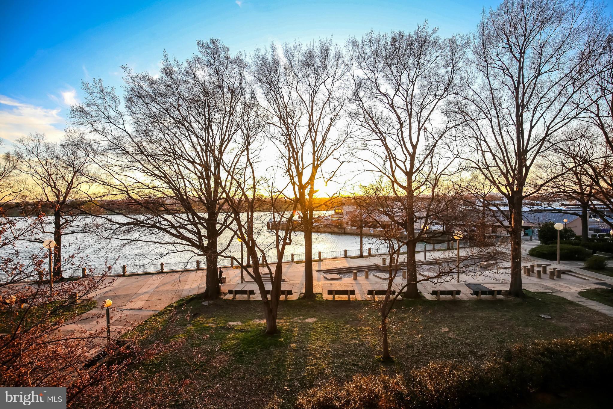550 N Street Southwest, Unit S201 Washington, DC 20024 - Photo 22 of 30 a backyard of a house with lots of green space