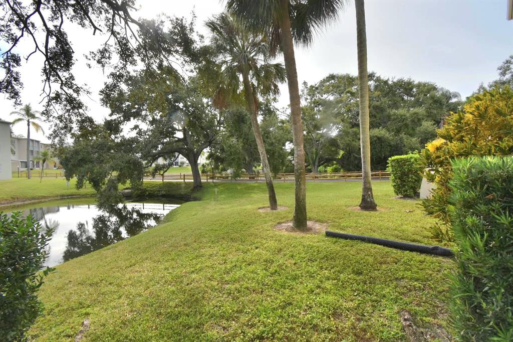940 Virginia Street, Unit 108 Dunedin, FL 34698 - Photo 11 of 50