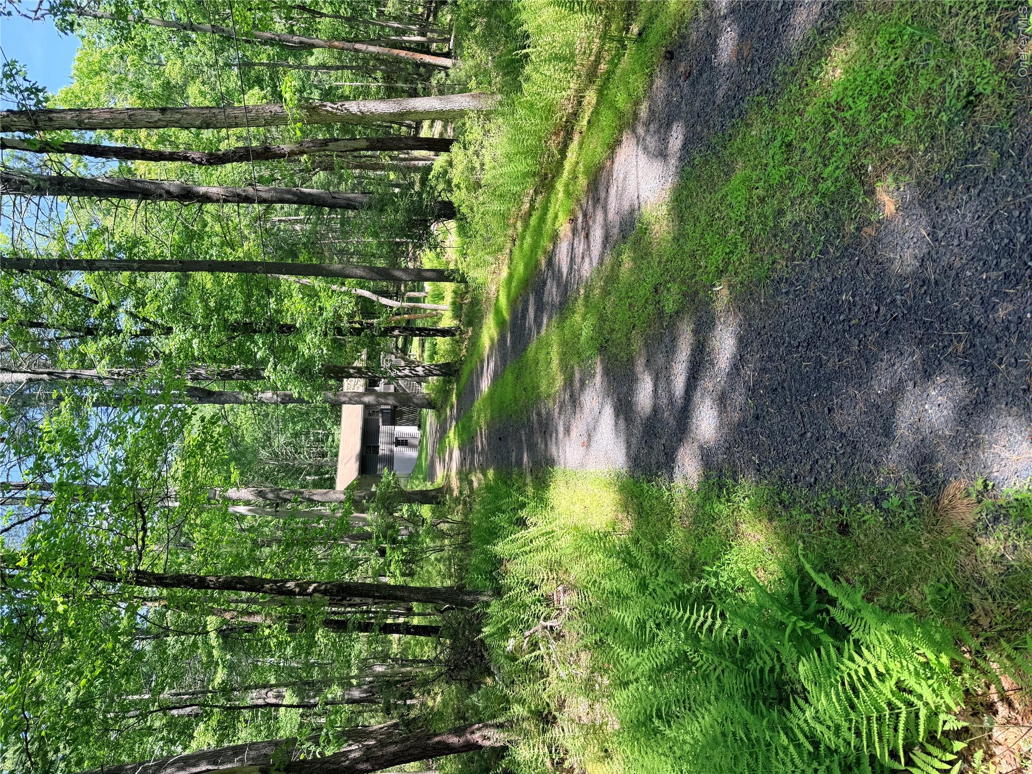 30 Woods Road Barryville, NY 12719 - Photo 2 of 21