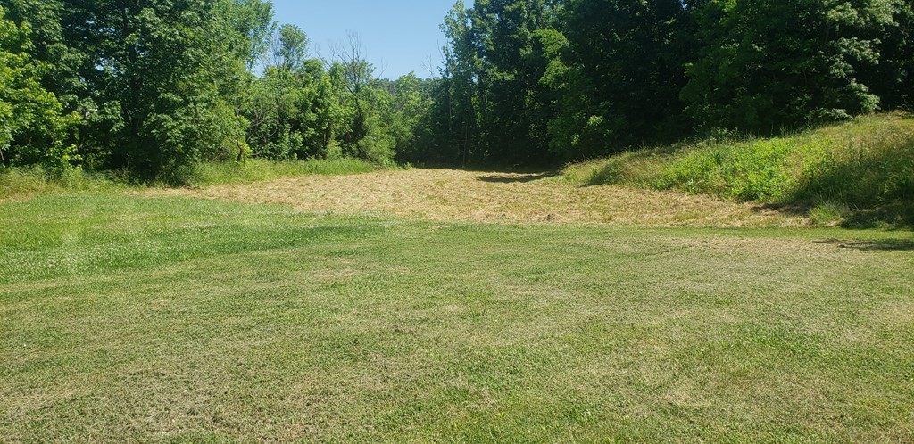 2 South Flat Creek Road Sevierville, TN 37876 - Photo 2 of 14