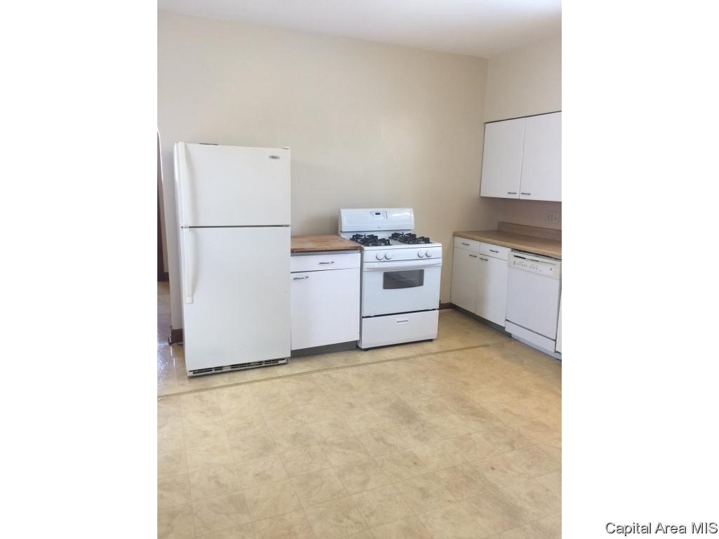 1827 North 8th Street Springfield, IL 62702 - Photo 15 of 25