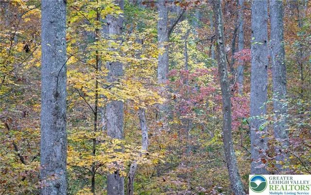 a view of outdoor space