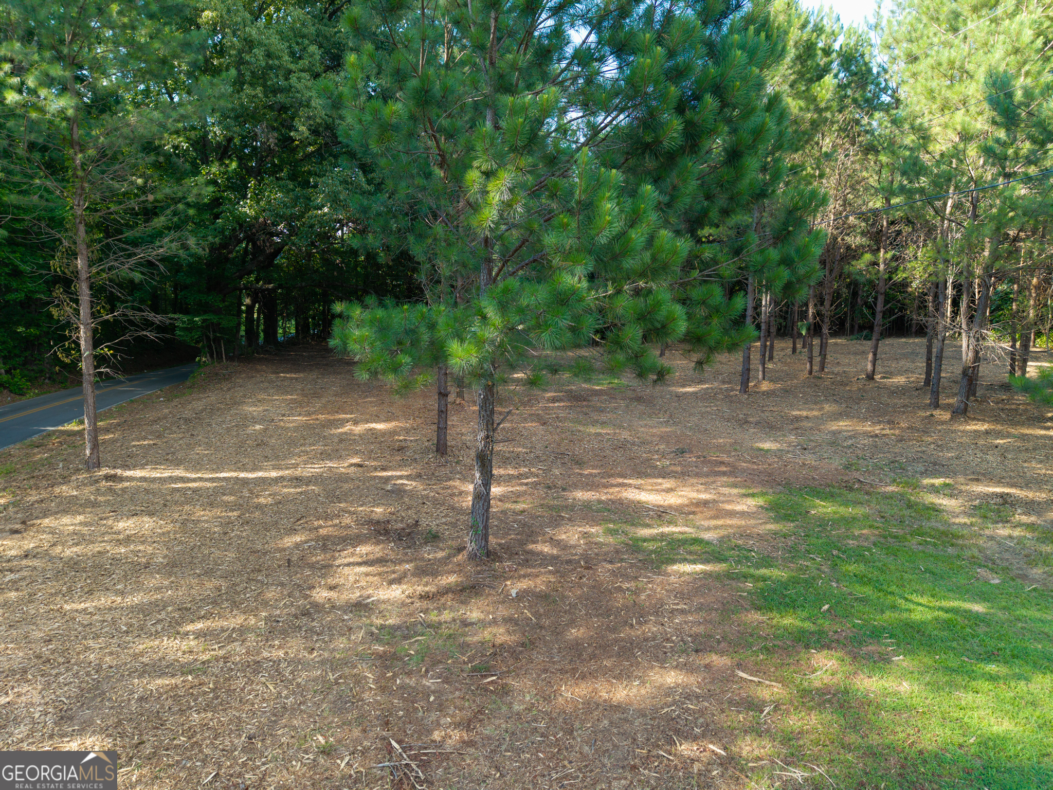 0 Hair Lake Road Summerville, GA 30747 - Photo 26 of 28