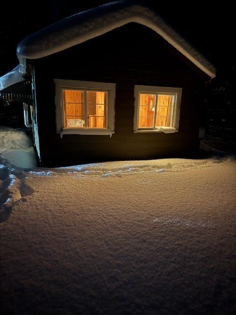 5286 North Twin Creek Road Luther, MI 49656 - Photo 1 of 13 IMG_3523