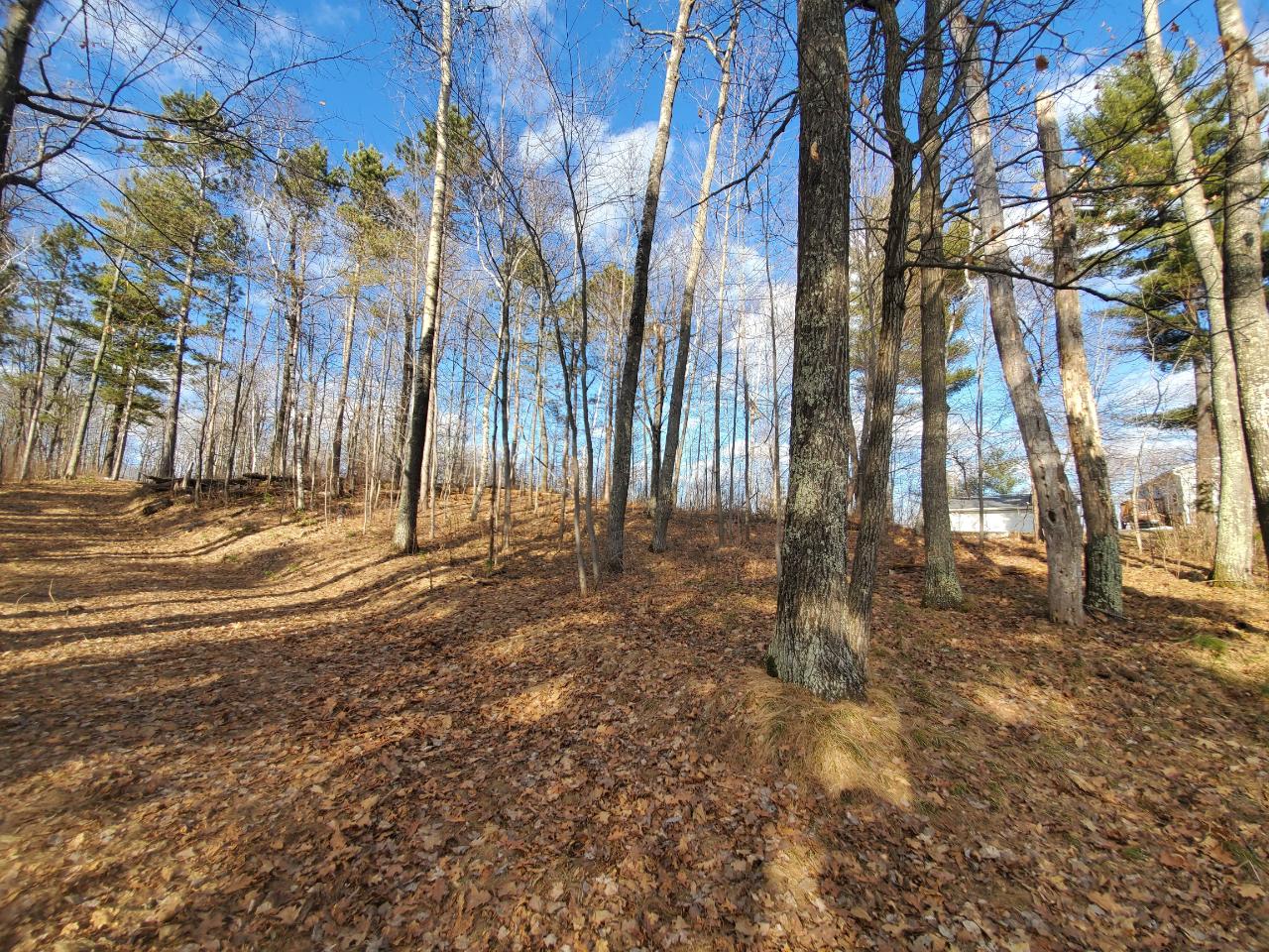 Lot 13 Little Bearskin Road Harshaw, WI 54529 - Photo 8 of 20 Gallery Image 8
