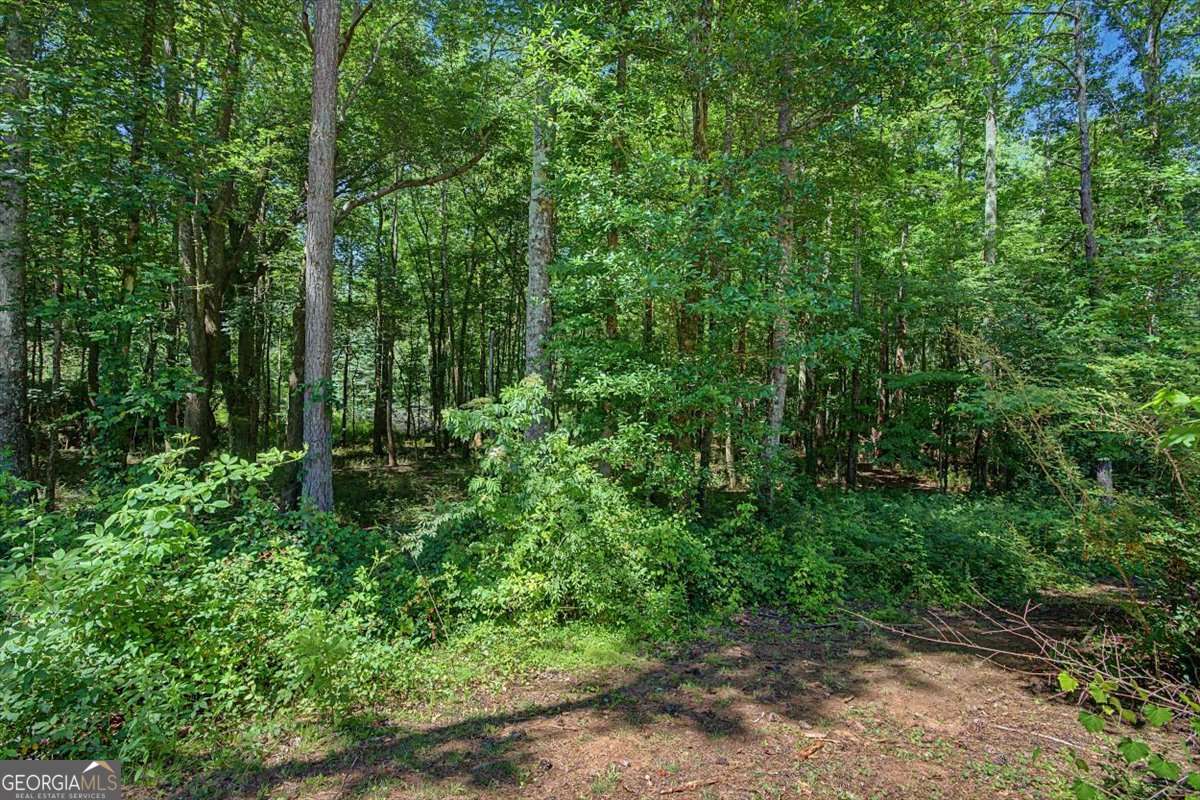 1381 Star Point Road Carrollton, GA 30116 - Photo 45 of 56
