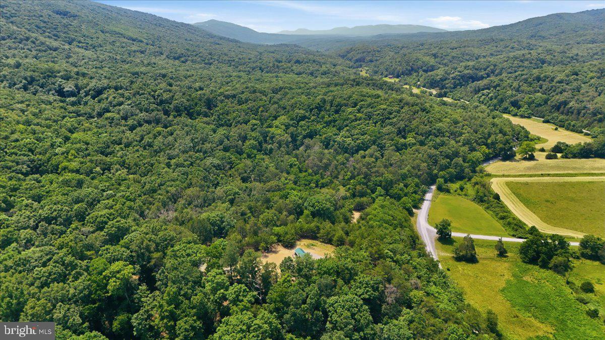3300 Foxes Hollow Road Romney, WV 26757 - Photo 11 of 59