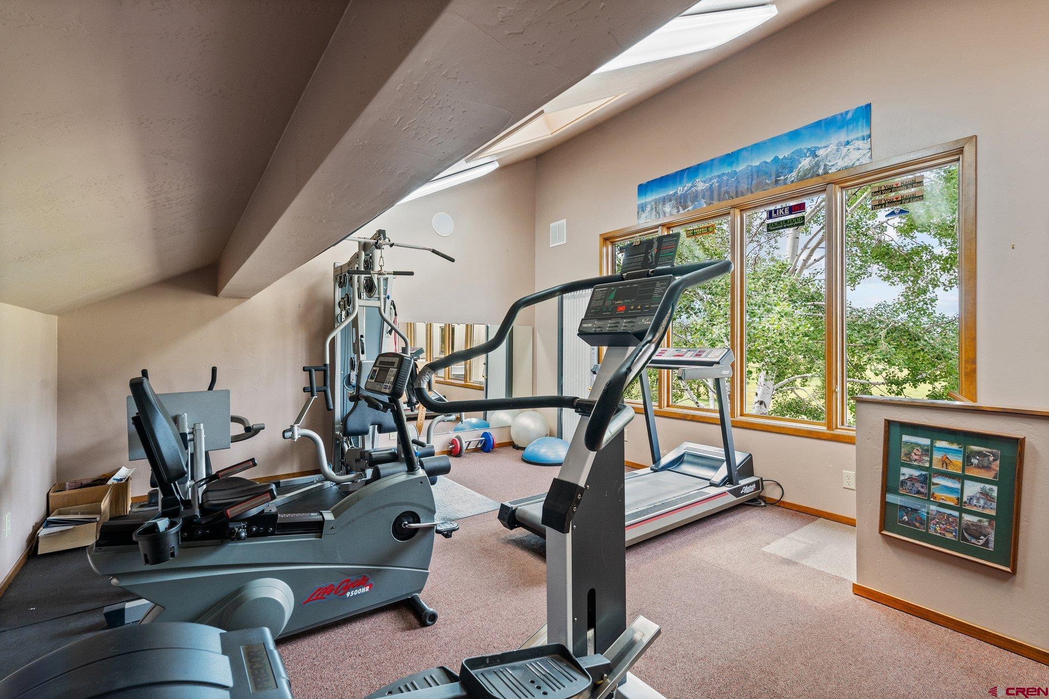 2565 County Road 250 Durango, CO 81301 - Photo 27 of 35 a view of a room with gym equipment
