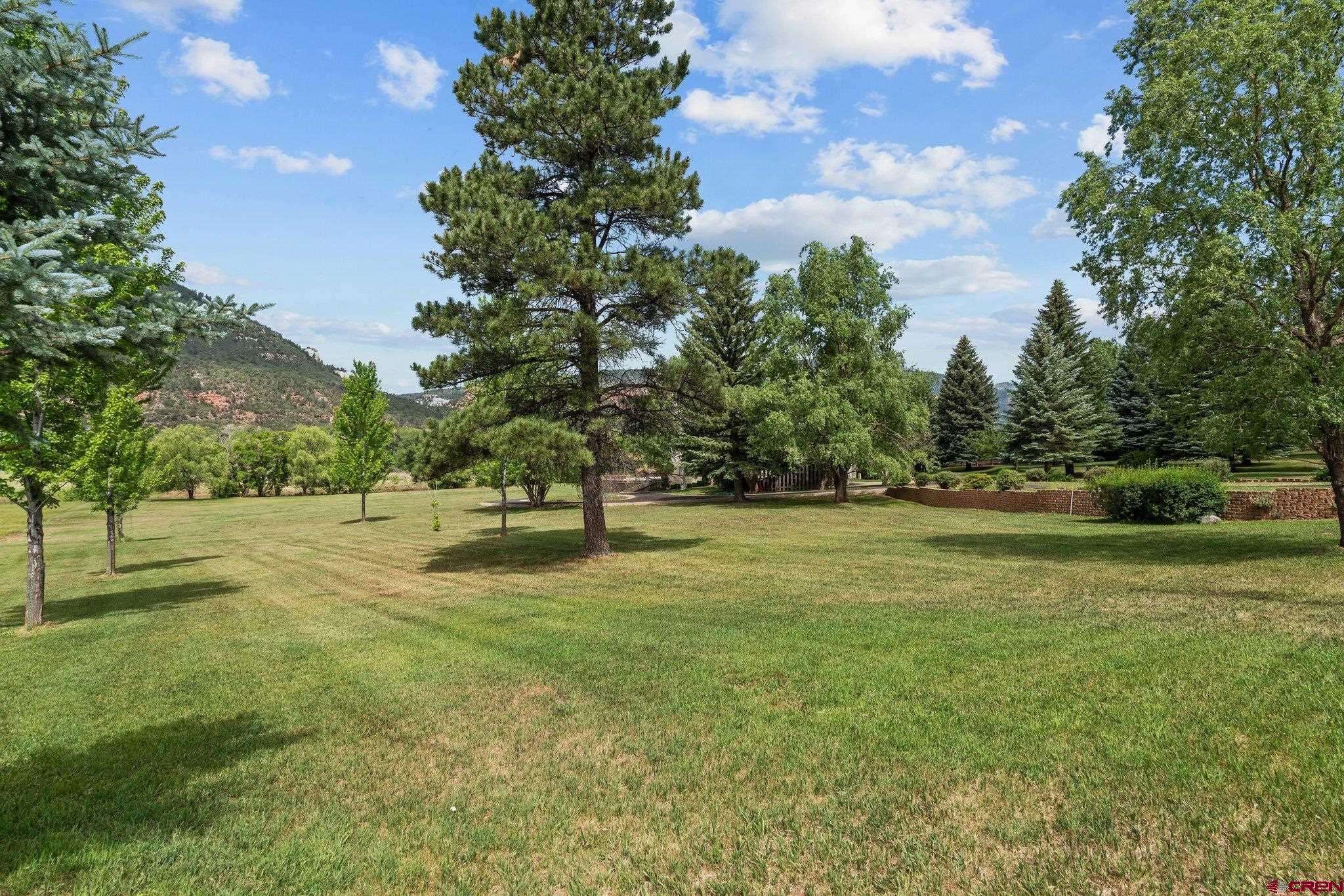 2565 County Road 250 Durango, CO 81301 - Photo 33 of 35 a view of yard with green space