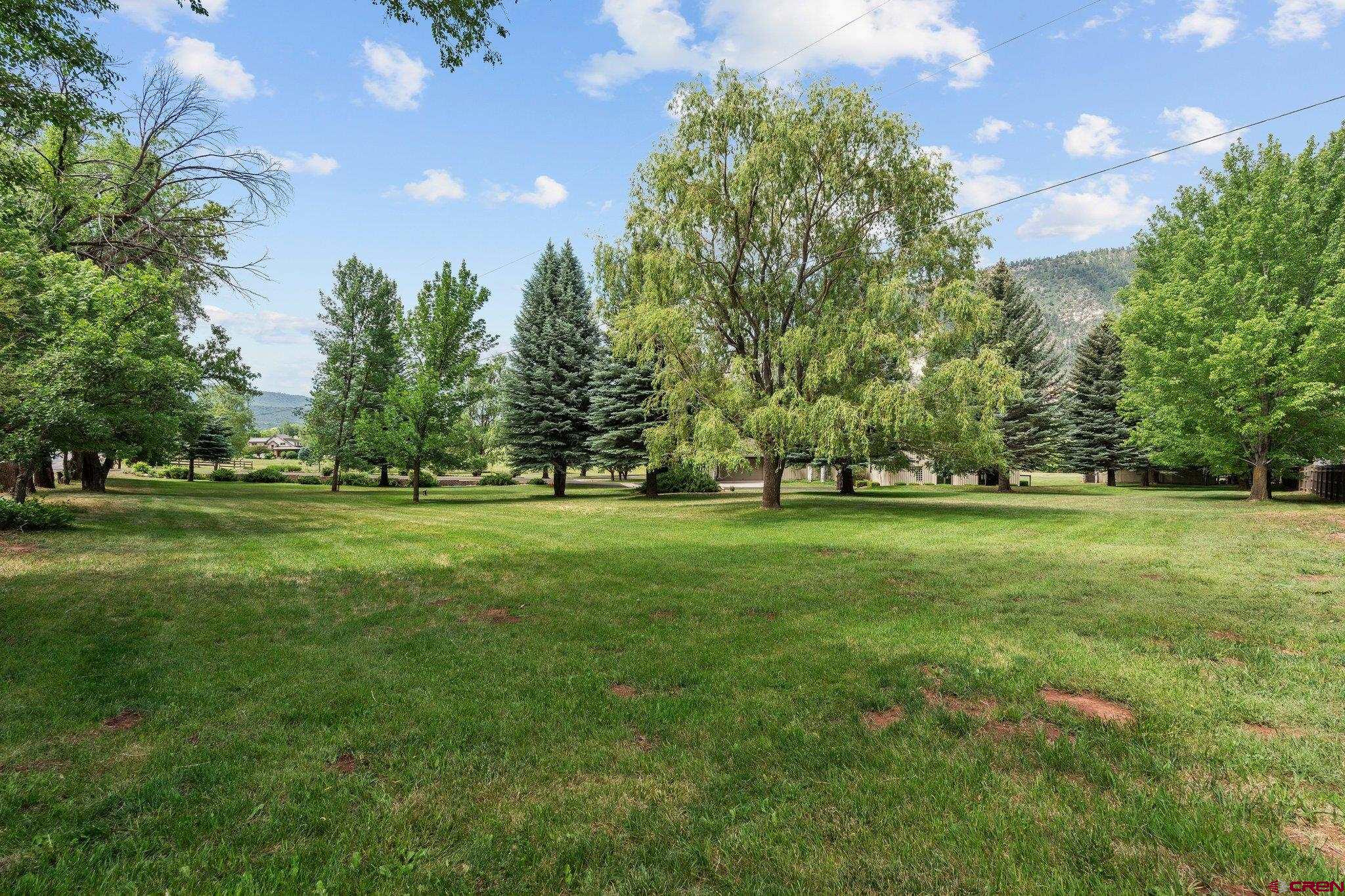2565 County Road 250 Durango, CO 81301 - Photo 34 of 35 a garden view with trees