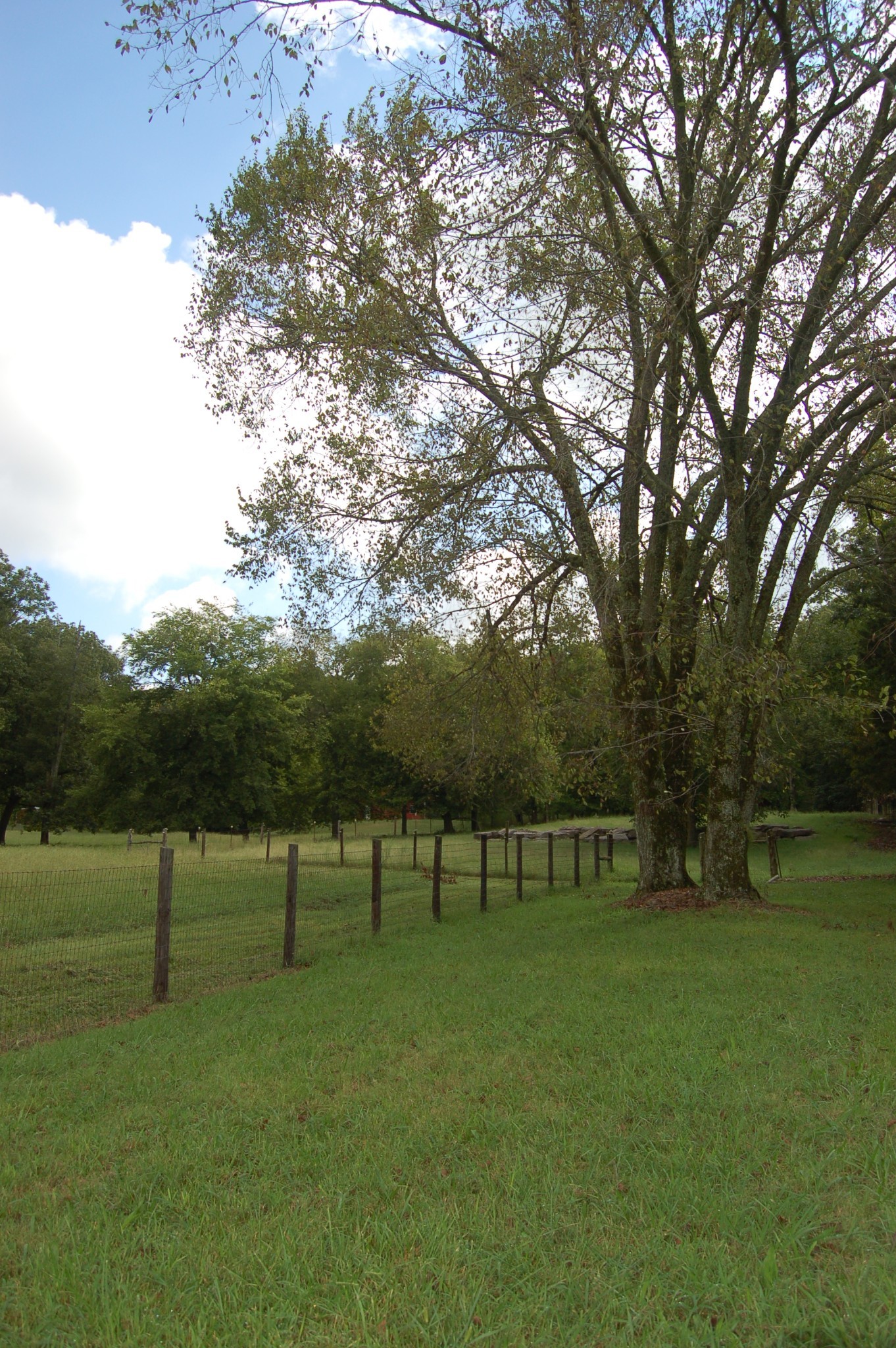 160 Sinking Creek Road Shelbyville, TN 37160 - Photo 31 of 47