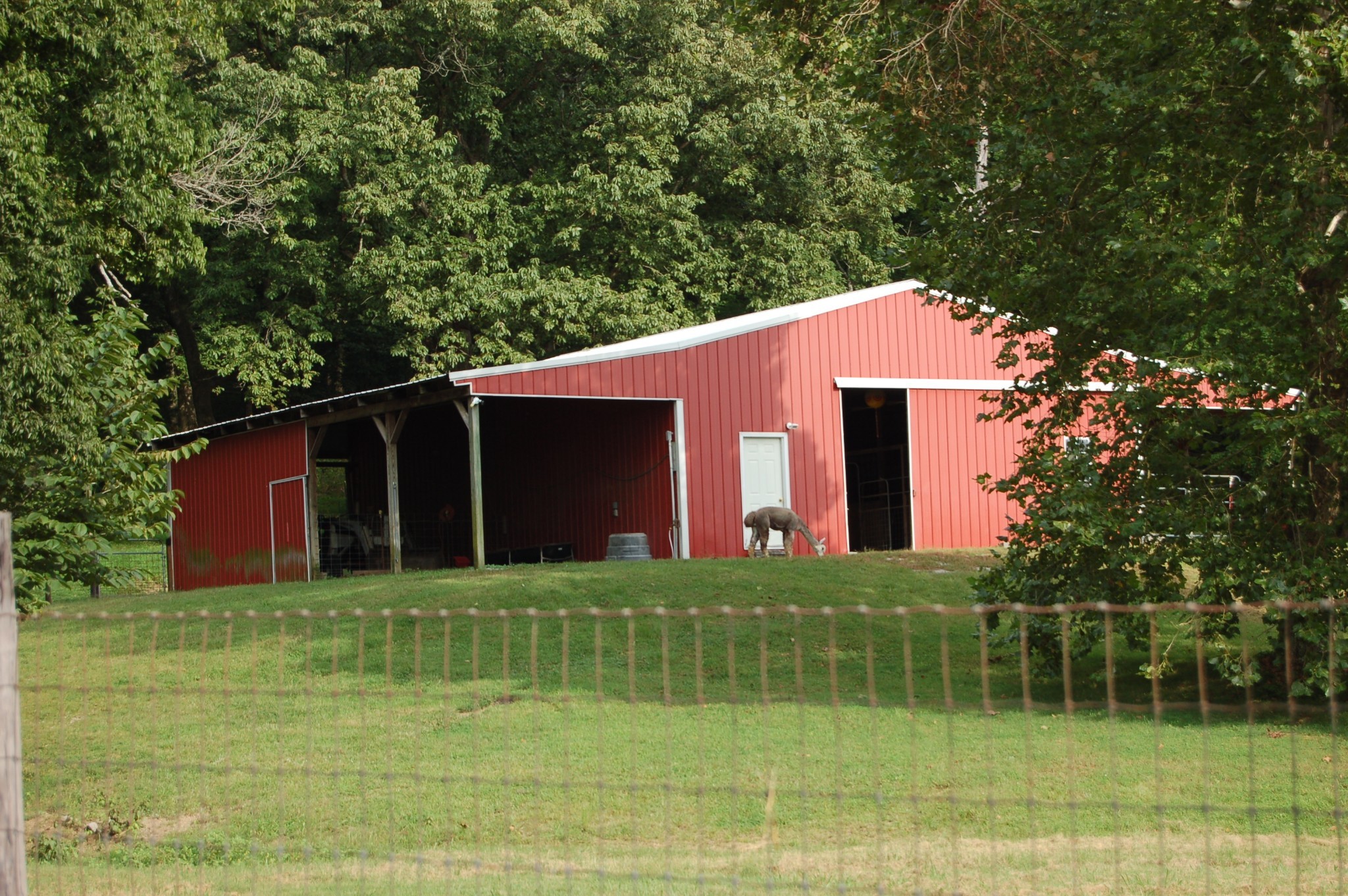160 Sinking Creek Road Shelbyville, TN 37160 - Photo 35 of 47