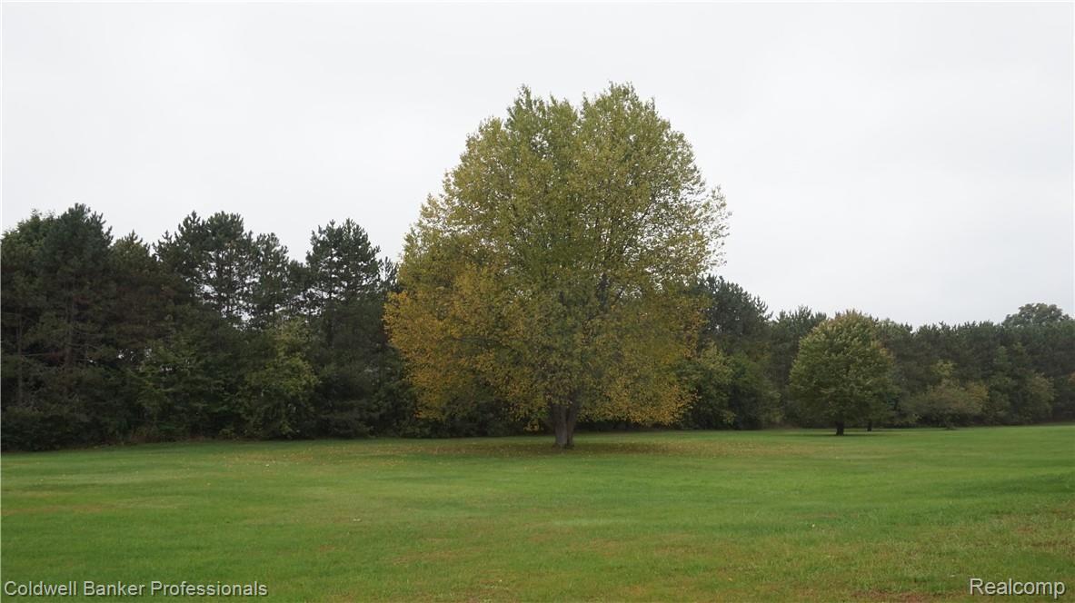 13189 Foley Road Fenton, MI 48430 - Photo 18 of 87 DSC01170 (1).JPG