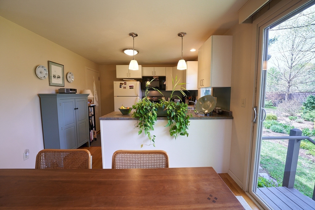 48 Sterling Road Northampton, MA 01062 - Photo 11 of 42 a living room with furniture and a potted plant