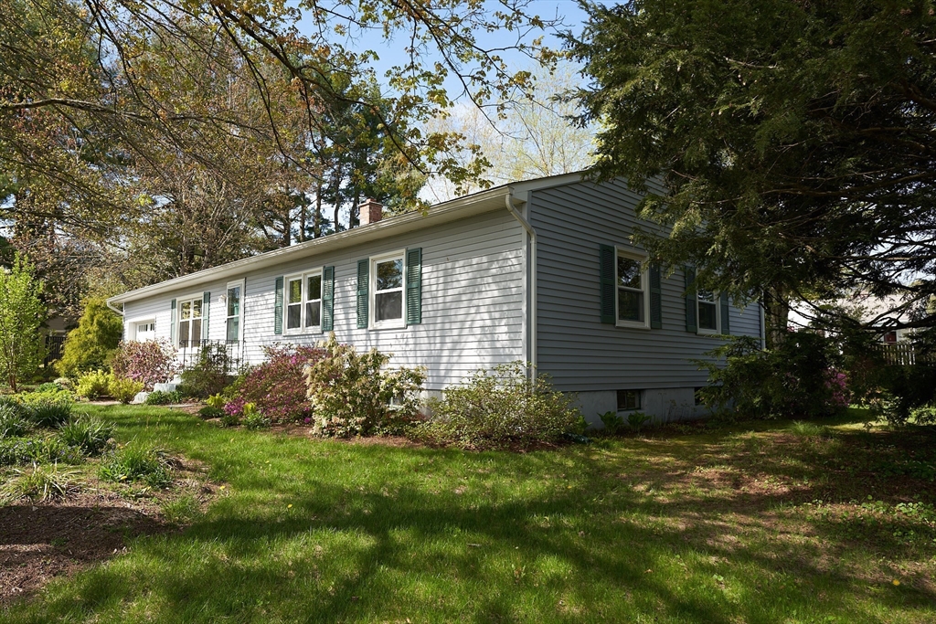 48 Sterling Road Northampton, MA 01062 - Photo 3 of 42 a view of a backyard with plants and large tree