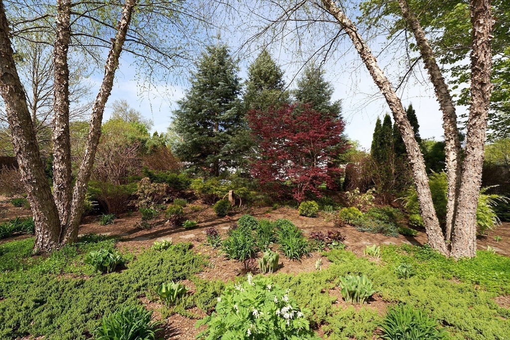 48 Sterling Road Northampton, MA 01062 - Photo 36 of 42 a view of a yard with plants and trees