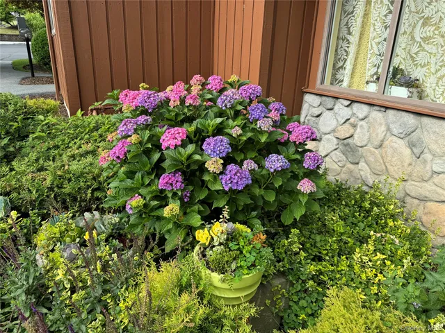 a picture of flowers