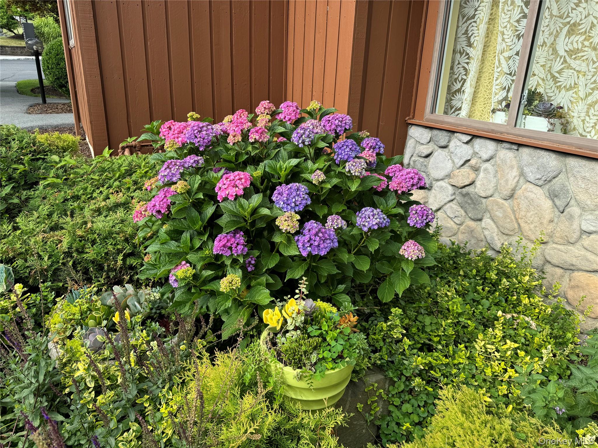 172 Swan Lane Poughkeepsie, NY 12603 - Photo 30 of 48 a picture of flowers