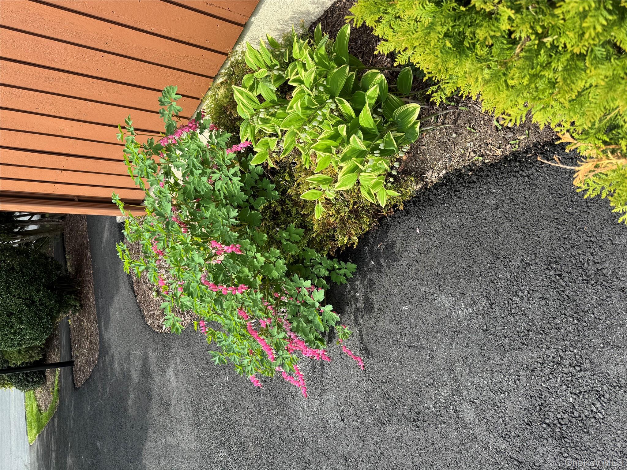 172 Swan Lane Poughkeepsie, NY 12603 - Photo 32 of 48 a view of a backyard with plants