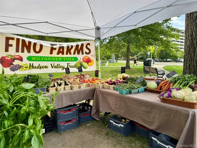 a front view of multi story residential apartment building