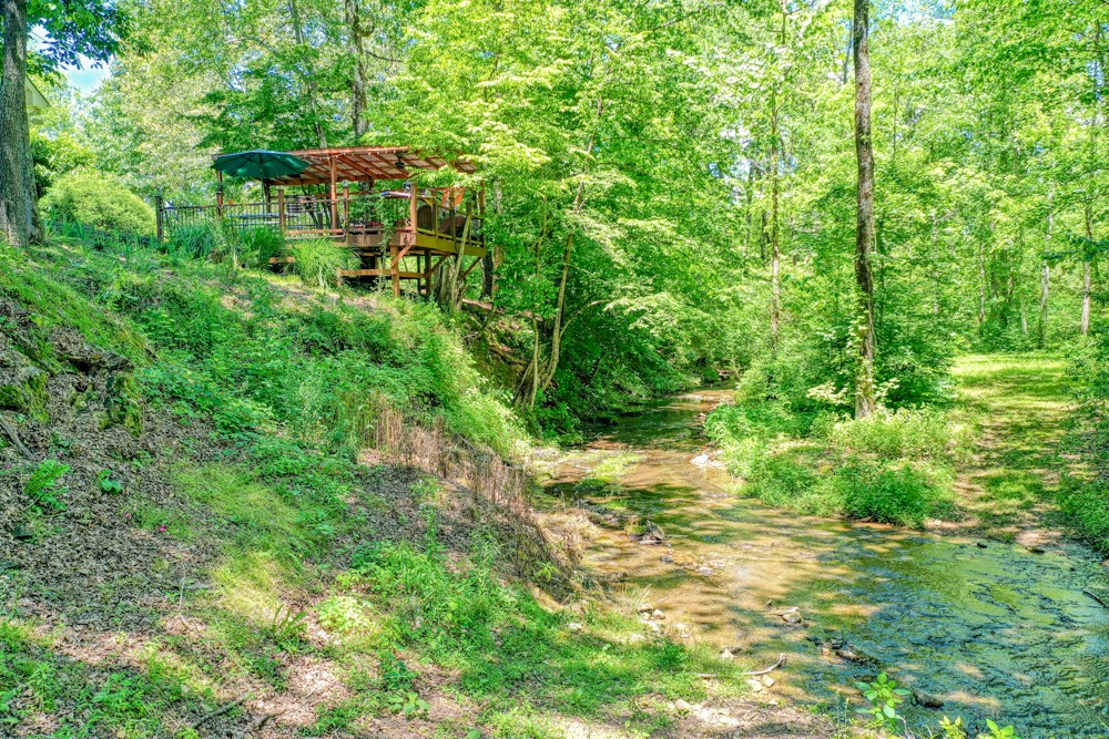 7880 Pinewood Road Fairview, TN 37062 - Photo 39 of 46 a view of a garden with a house