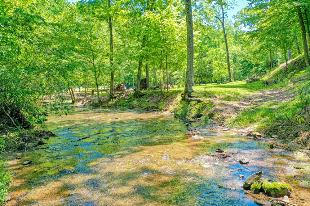 7880 Pinewood Road Fairview, TN 37062 - Photo 45 of 46 a view of yard with green space