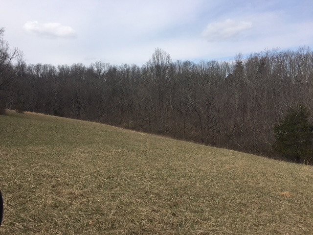 0 Denny Road Berry, KY 41003 - Photo 2 of 11 Gallery Image 2
