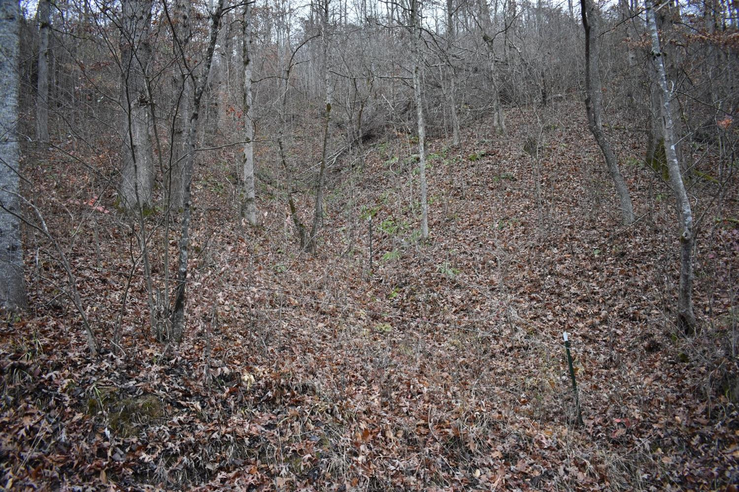 9999 East Crawfish Road Manchester, KY 40962 - Photo 2 of 52 Photo 2