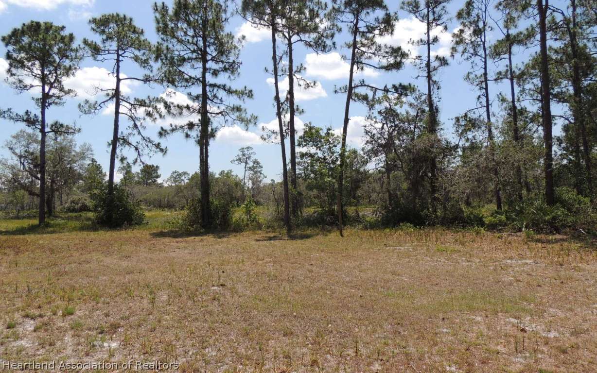 6960 Sparta Road Sebring, FL 33875 - Photo 18 of 19