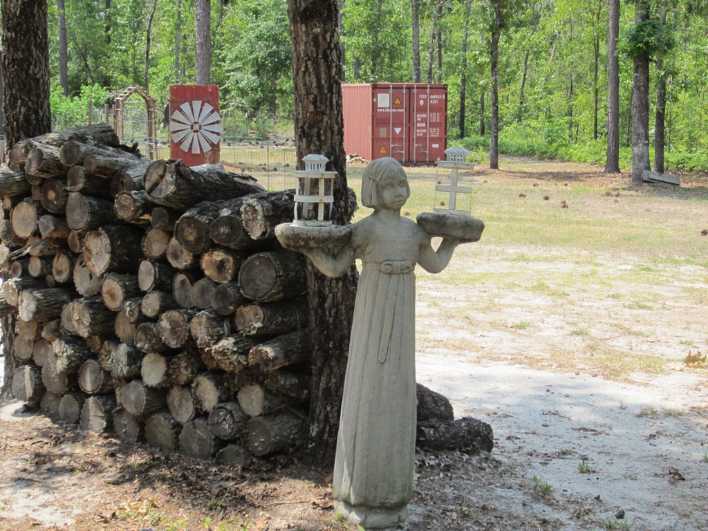 605 Colbert Bridge Road Windsor, SC 29856 - Photo 16 of 28