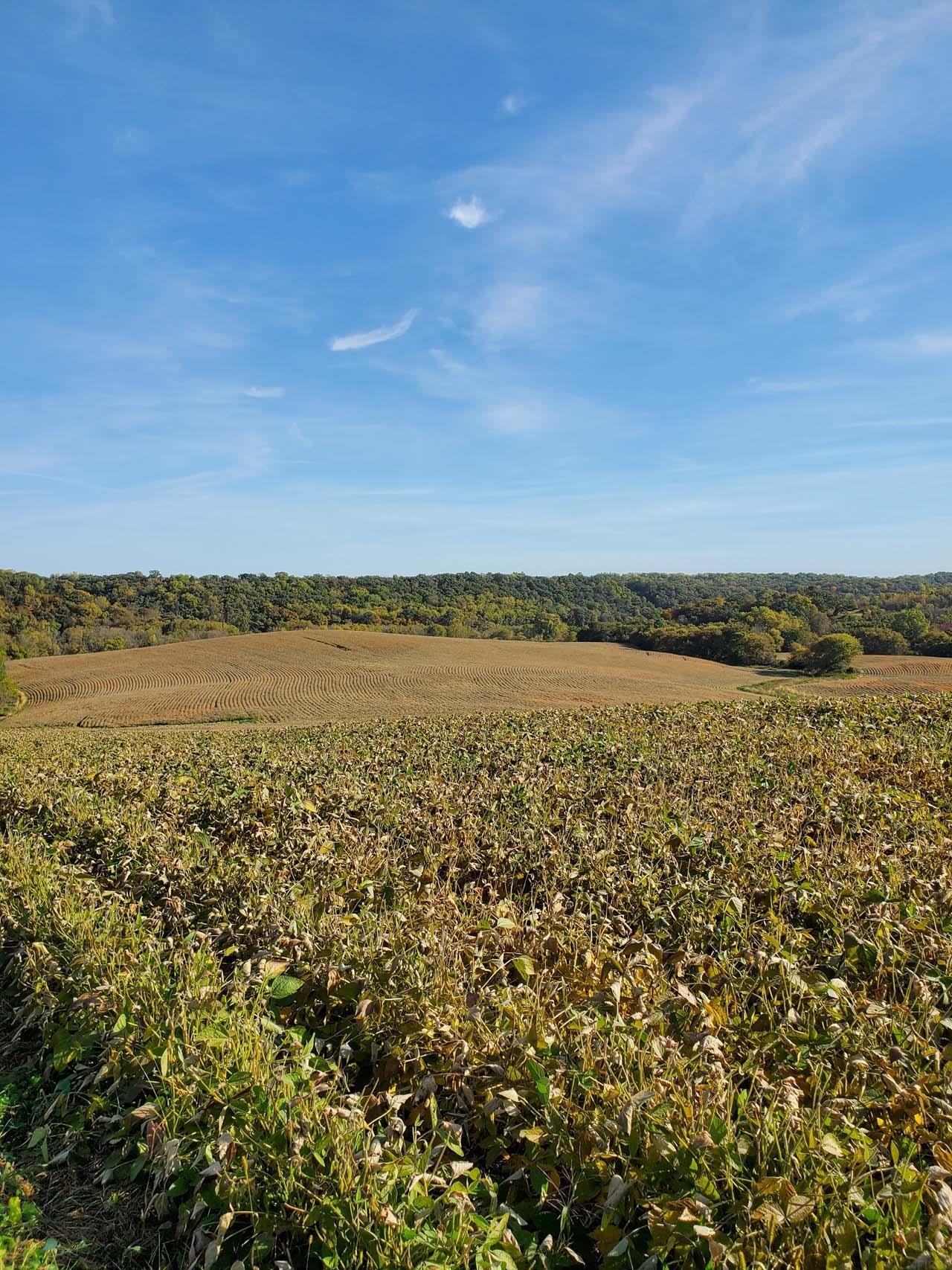 Happy Hollow Road Decorah, IA 52101 - Photo 6 of 17 Gallery Image 6