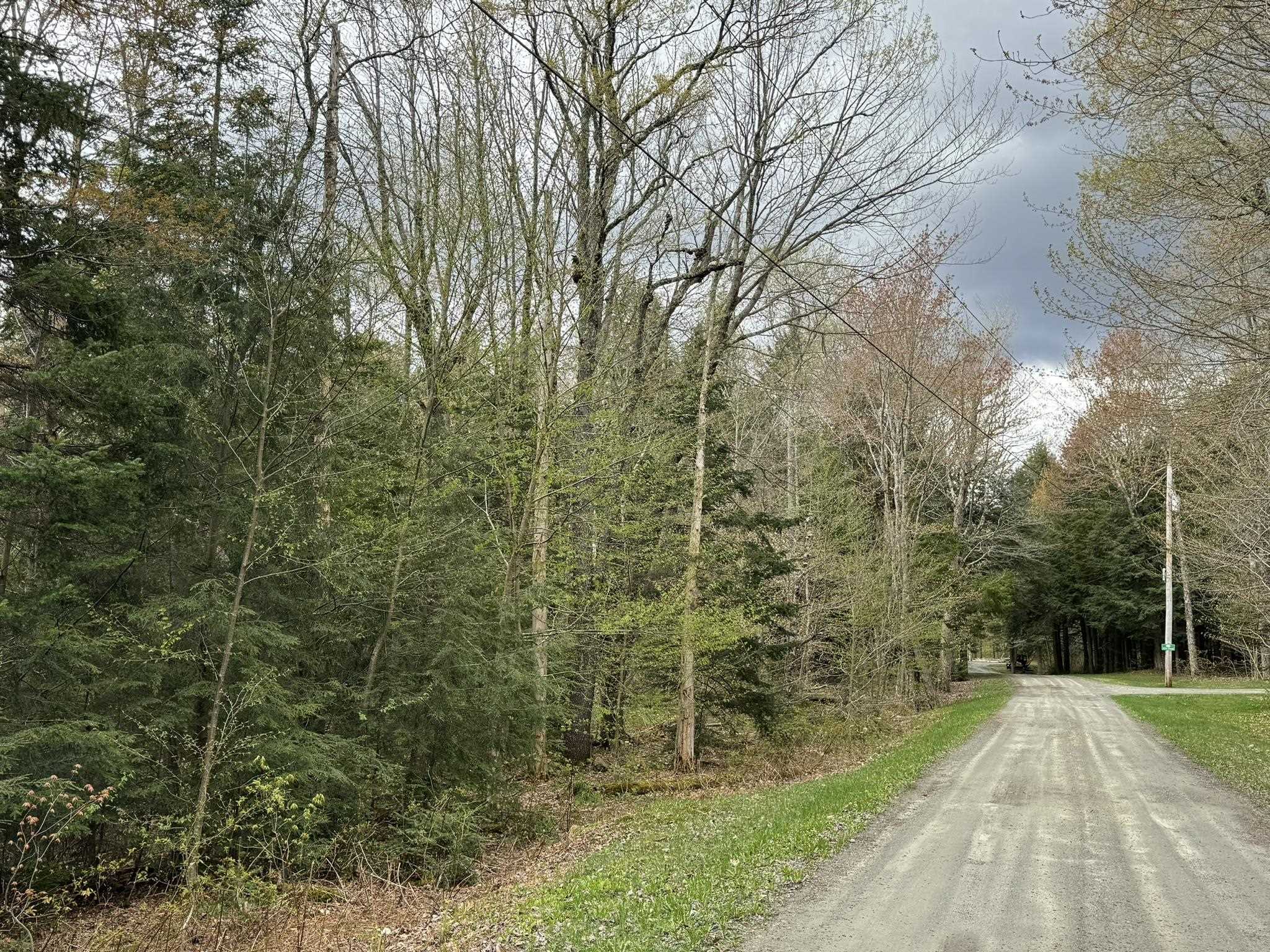 0 Bills Road Stratton, VT 05360 - Photo 6 of 22