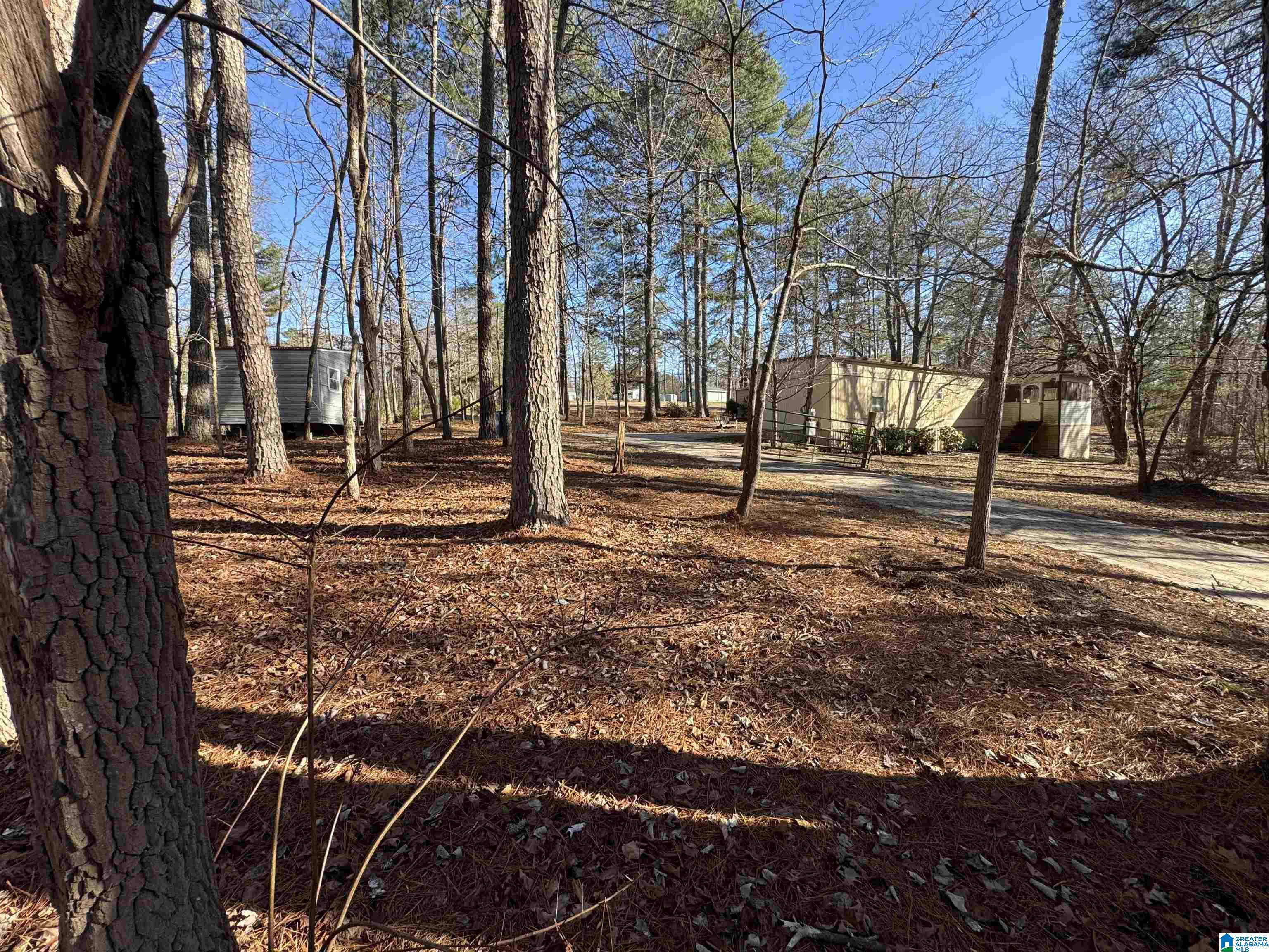 2570 Mt View Road, Unit 13251 Hayden, AL 35079 - Photo 12 of 13