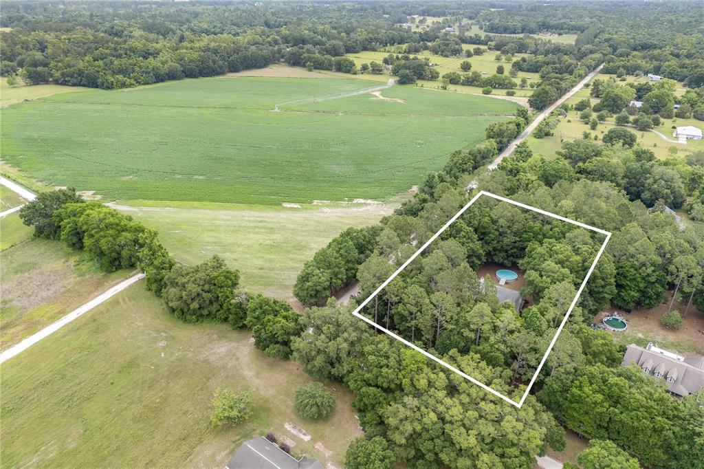 21737 Old Providence Road Alachua, FL 32615 - Photo 29 of 29 a view of a field with an ocean