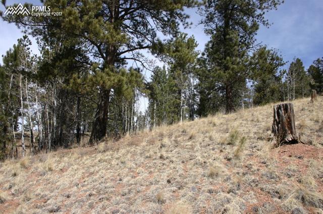 73 Arrowhead Road Florissant, CO 80816 - Photo 12 of 17