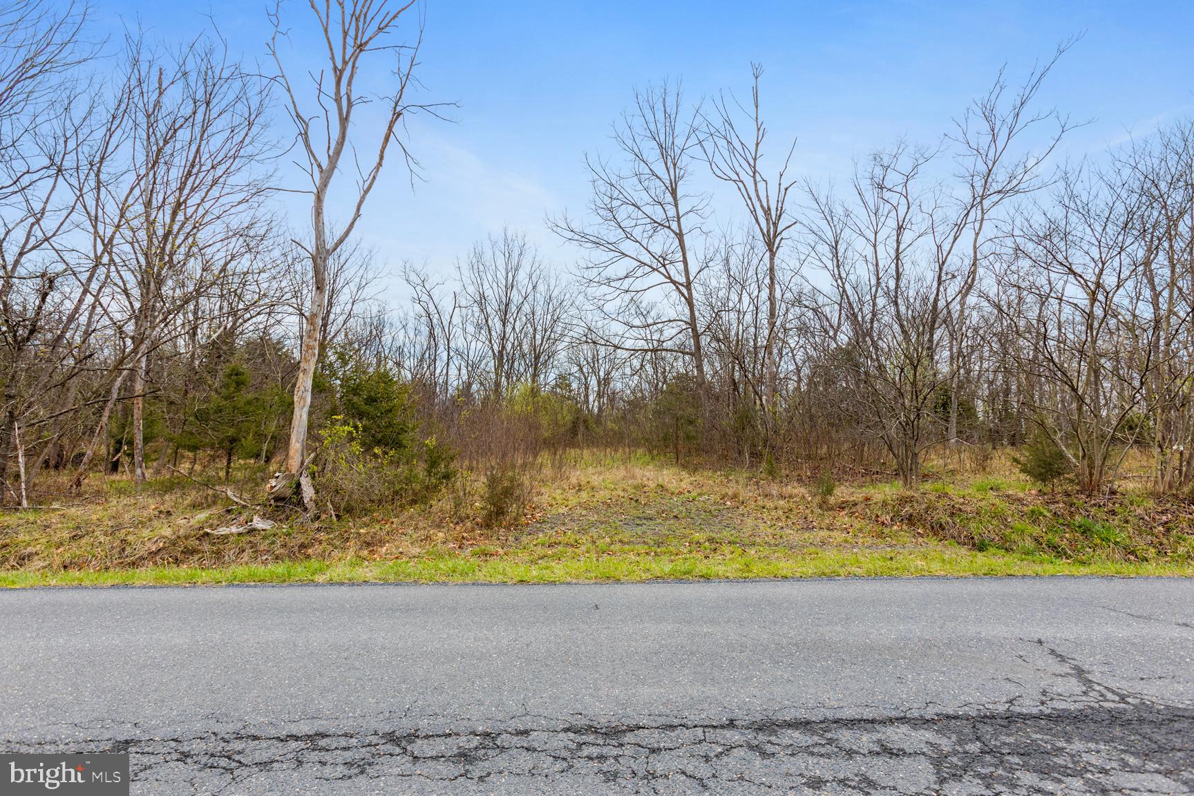 0 Ridge Hollow Road Edinburg, VA 22824 - Photo 2 of 11 View from Ridge Hollow Road with approved entrance