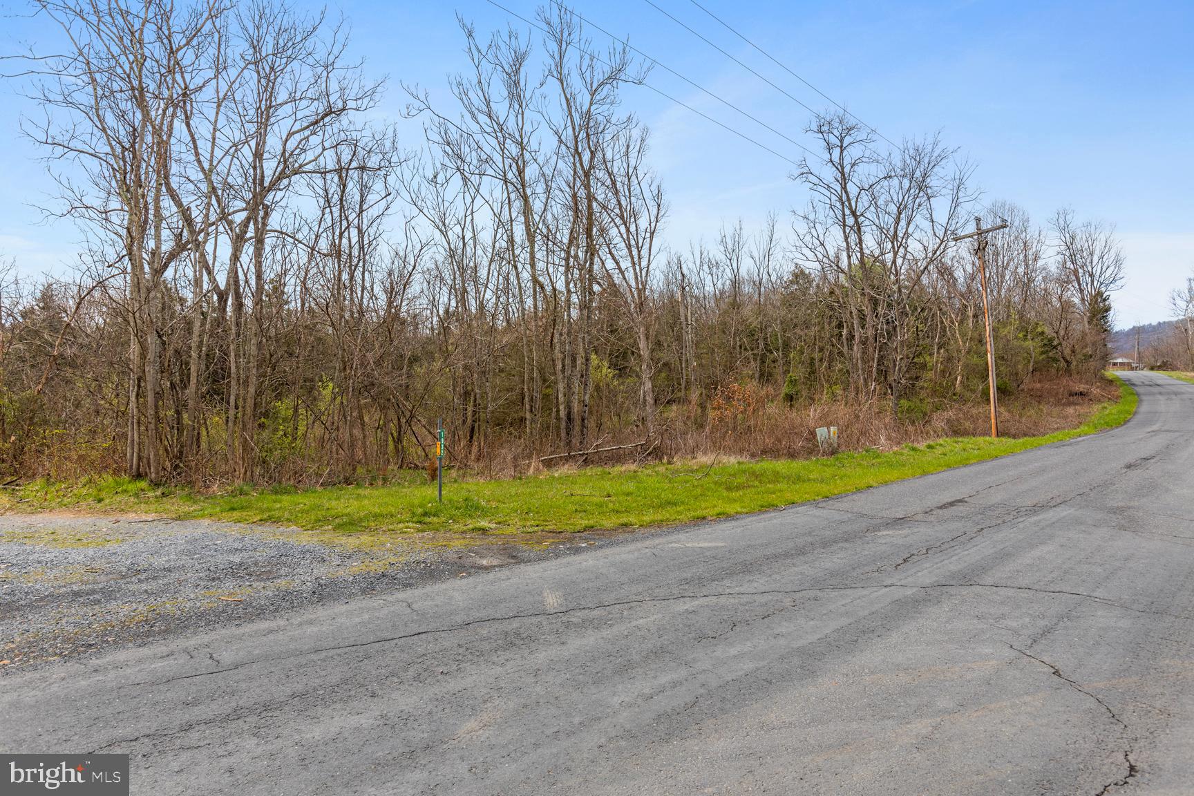 0 Ridge Hollow Road Edinburg, VA 22824 - Photo 4 of 11 Ridge Hollow Road View