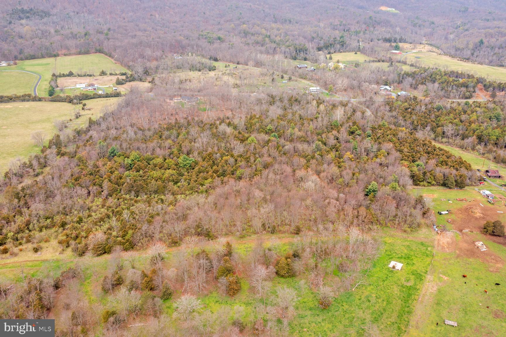 0 Ridge Hollow Road Edinburg, VA 22824 - Photo 10 of 11