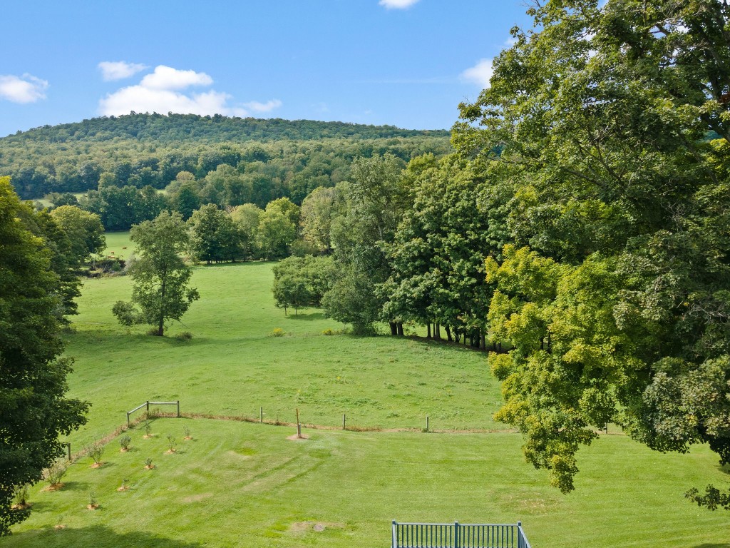 153 King Road Greene, NY 13778 - Photo 3 of 43 Gallery Image 3
