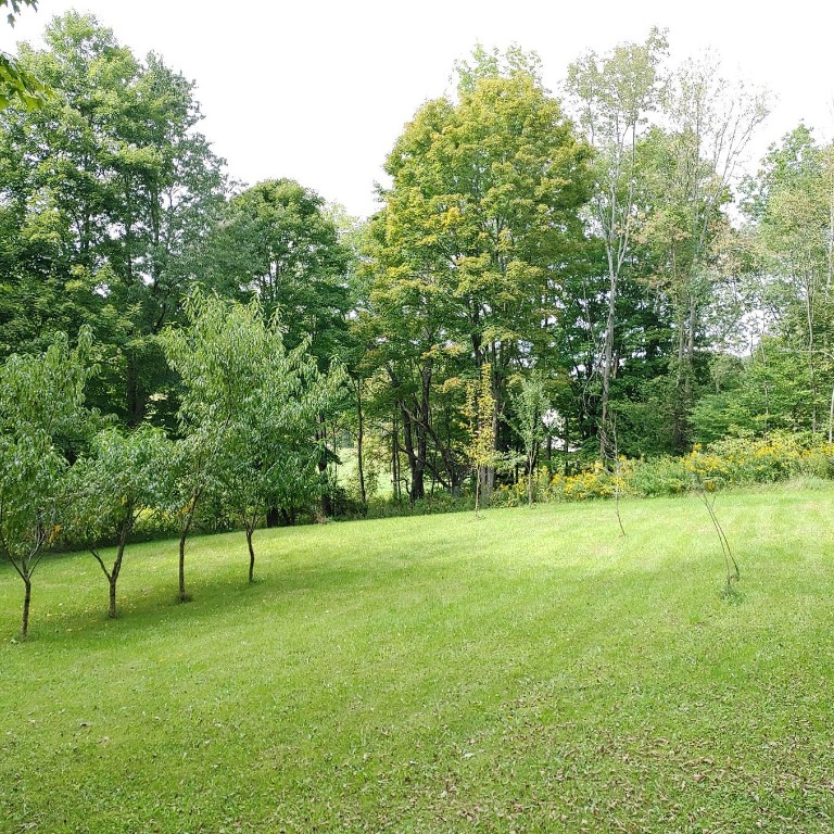 153 King Road Greene, NY 13778 - Photo 41 of 43 Gallery Image 41