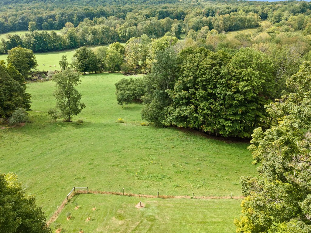 153 King Road Greene, NY 13778 - Photo 43 of 43 Gallery Image 43