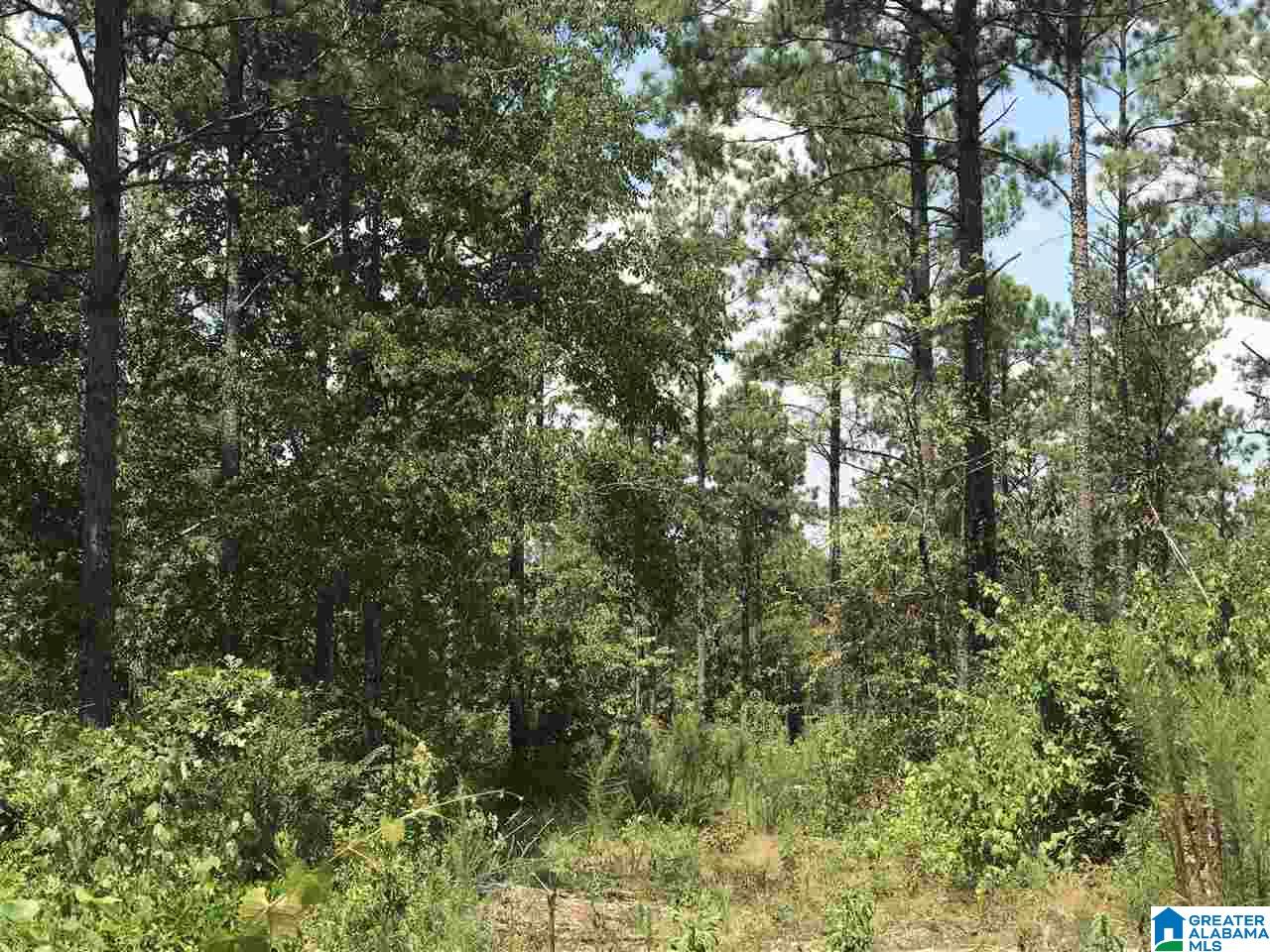0 County Road 454 Clanton, AL 35046 - Photo 4 of 7