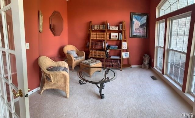 109 Raspberry Lane Camillus, NY 13031 - Photo 27 of 32