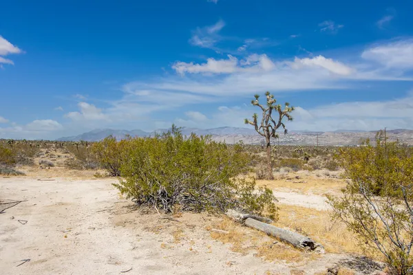 a view of beach and ocean