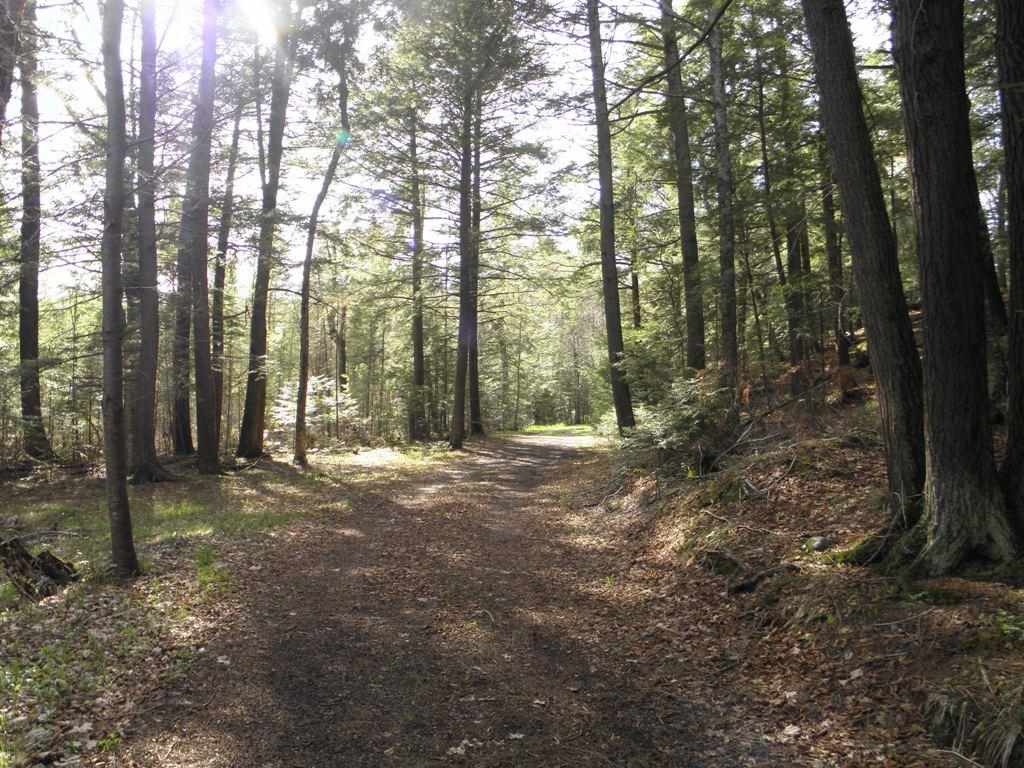 On On County Road, Unit LOT 4 Butternut, WI 54514 - Photo 1 of 1