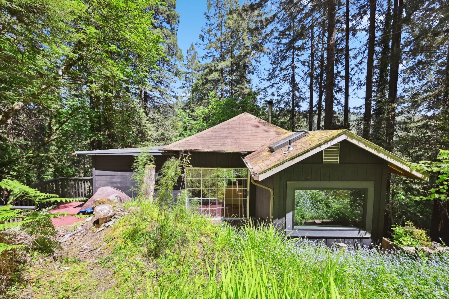 21713 Starrett Hill Drive Monte Rio, CA 95462 - Photo 4 of 50